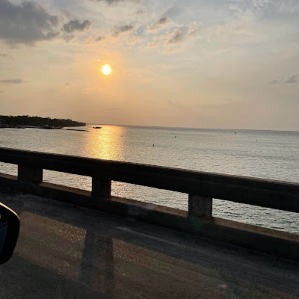 Meet your Posher, Suzanne